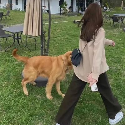 爆肚风云
